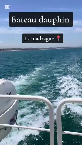 Bateau dauphin 🐬  #sea #alger #algerie #bateaudauphin #Love #fyp #pourtoii #الشعب_الصيني_ماله_حل😂😂 #اكسبلور 