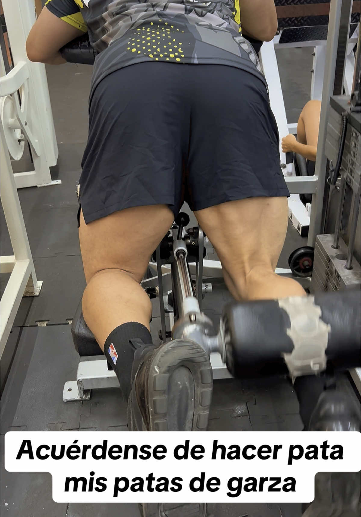 Leg day 🫡🫡🐯 #elculturismonosetoca #FitnessLatino #CulturismoMexicano #GymTok #fitnessmotivation  #classicphysique #volumenlimpio #roadtopro 