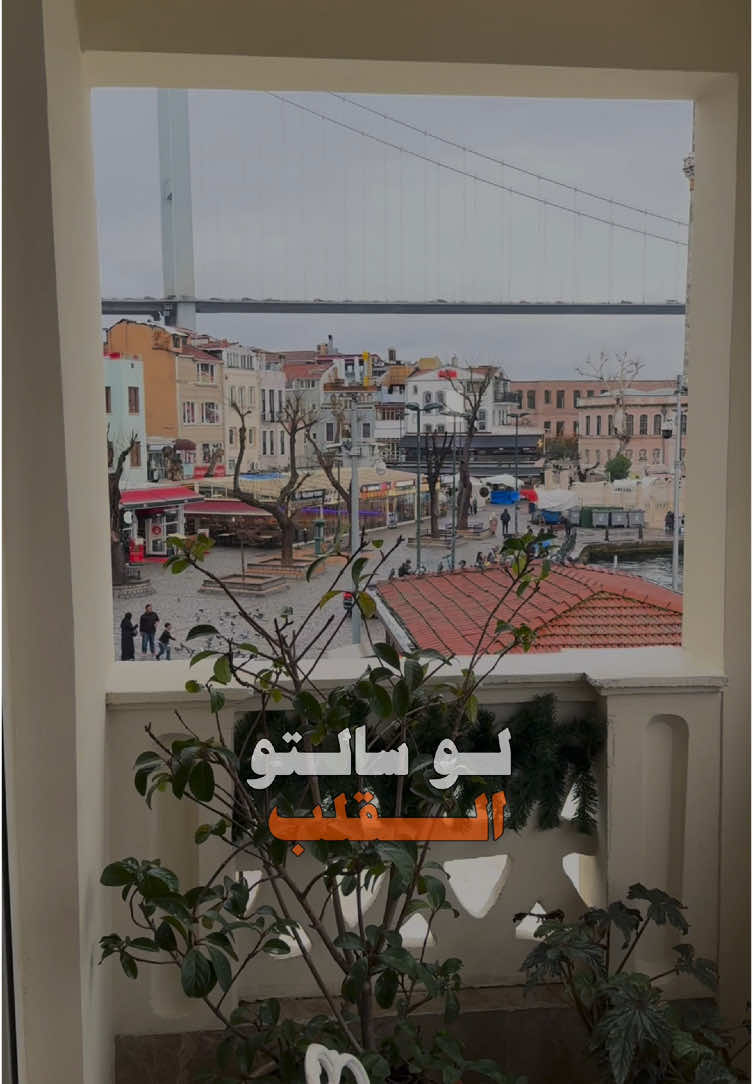 اجمل شيله تاخذ القلب 🥹❤️ #الفارق #شيلات_ياسر_الشهراني #تركيا 