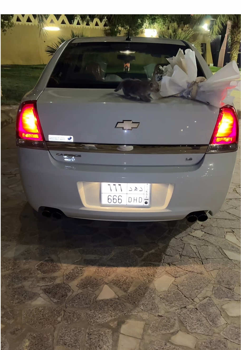 #666 الله يبارك به❤️🇺🇸.   #كابرس #alqassim #القصيم #الرس 