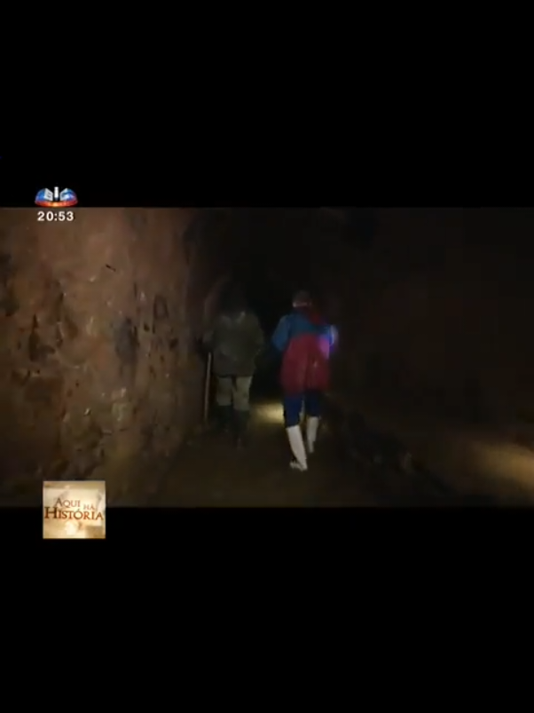 #mitosurbanos #ratos #mafra 