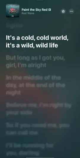#musiclyrics #fyp #rodwave #rodwavelyrics #painttheskyred 