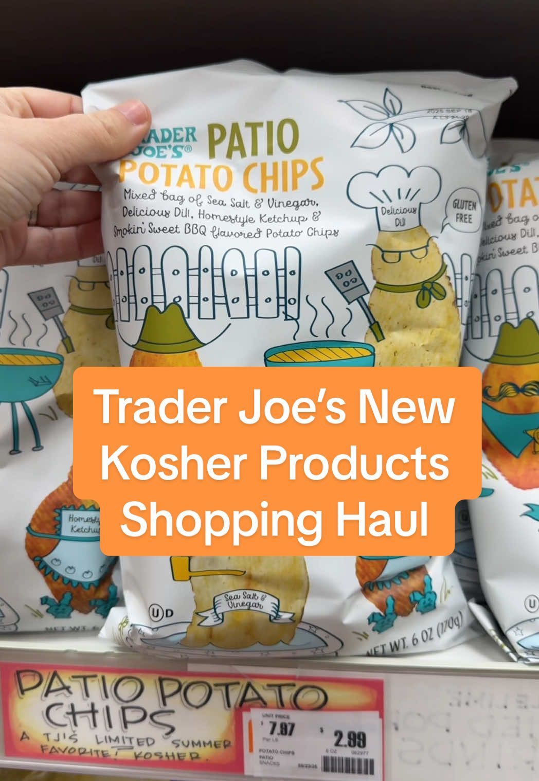 I feel like the Trader Joe’s Patio chips are giving All Dresses chips vibes!! And I’m already regretting buying only one cookie dough ice cream, I will be going back for another one. It’s my favorite! #traderjoes #traderjoeshaul #traderjoesnewitems #jewishtiktok #kosherfood 