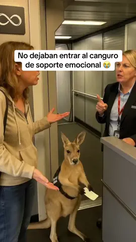 El pobre sujetando el ticket y esperando a que lo dejen pasar 