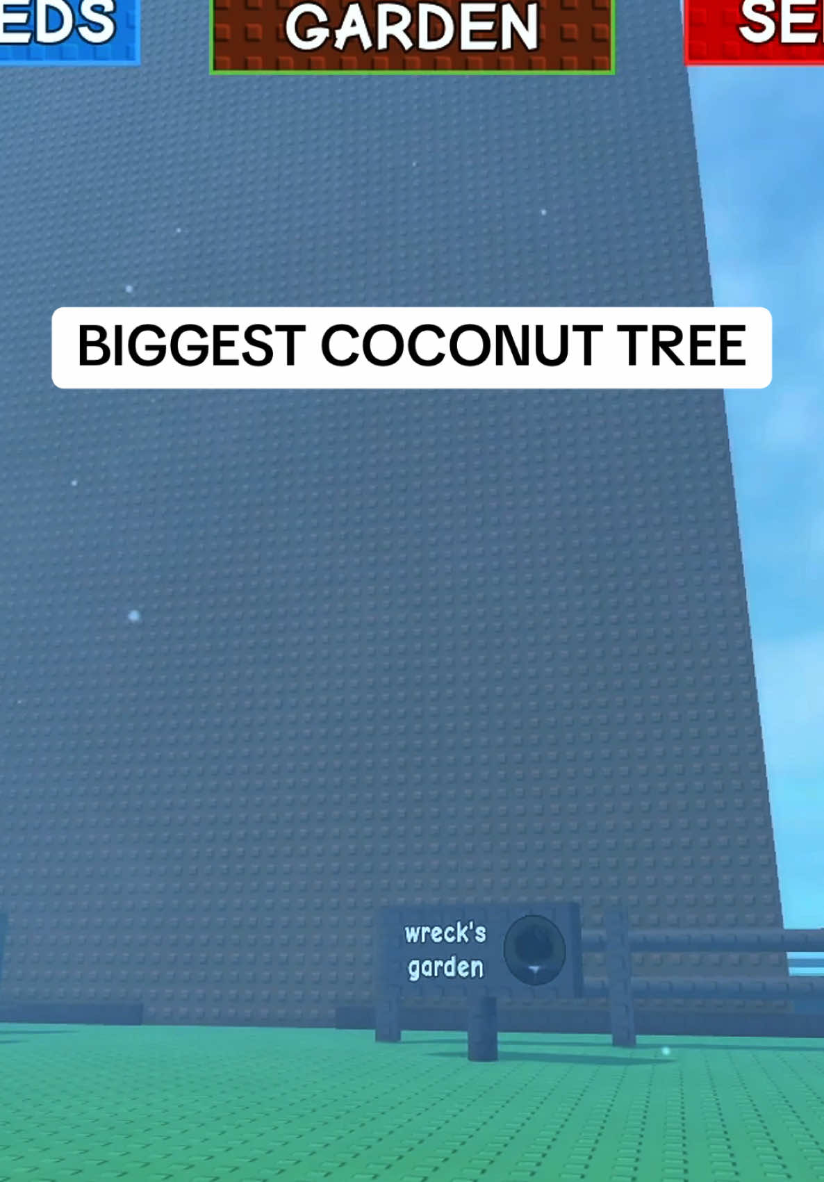 This gotta be the biggest coconut tree right? #roblox #fyp #growagarden #robloxfyp #garden #updates 