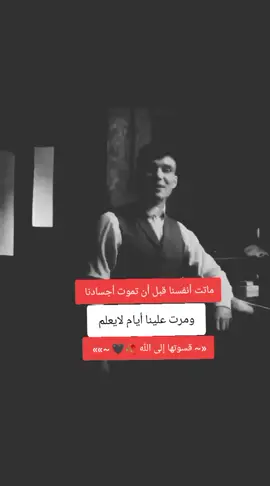 توماس شليبي #كاتب_بلا_قلم🖊 #شعب_الصيني_ماله_حل😂😂 #bdtiktokofficial 