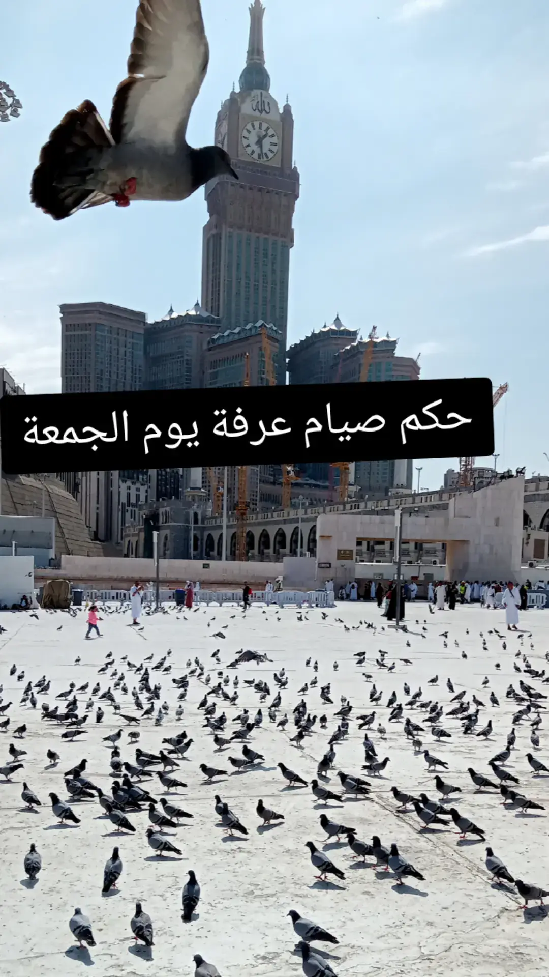 #عرفة #صيام_عرفة #يوم_عرفة_صيام_دعاء #جمعة_مباركة #جمعة #مكة #مكة_المكرمة #صدقة_جارية #أجر_لي_ولكم #إسلاميات #
