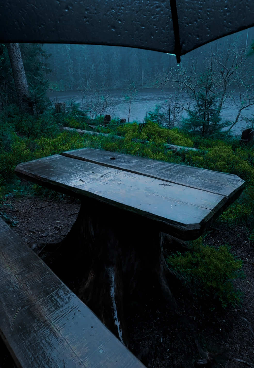 Rainy Mornings #nature #darkaesthetic #calm #naturephotography #foryоu #aesthetic #relax 