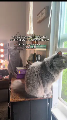 he waited very patiently for 10 seconds