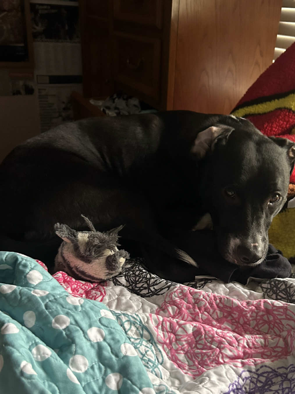 hello @hos!! loves it when i eat fire #pyromaniac #punk 😛 #familyguy #tawog CAUSE I MISS IT #hardcore 