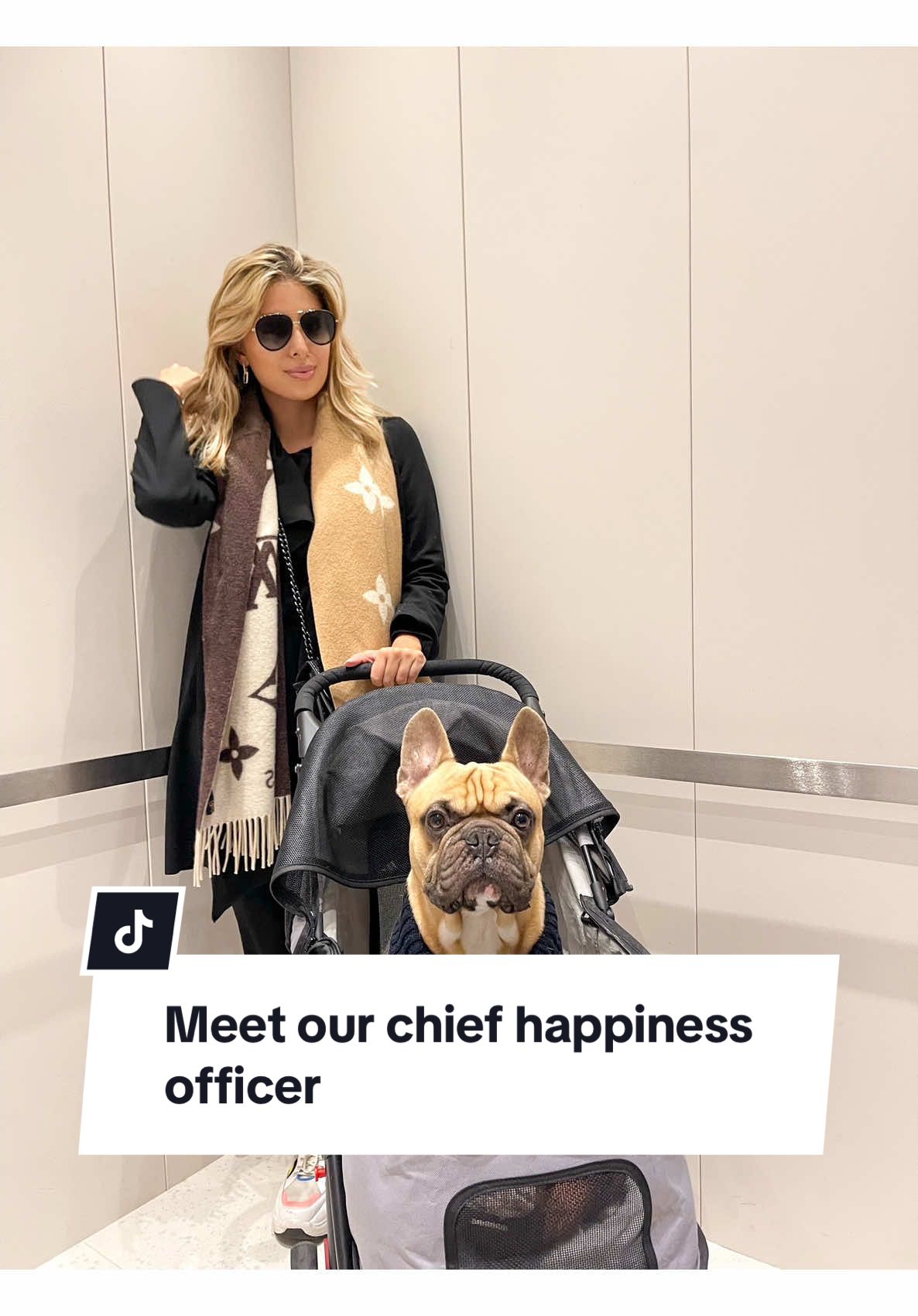He is the actual boss. Meet our chief happiness officer 🫡