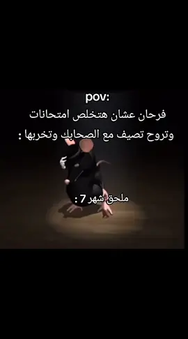 #منشنو😂😂 #راكشنات_الامتحانات #راكشنات_الامتحانات #راكشنات_الامتحانات #راكشنات_الامتحانات #راكشنات_الفار #راكشنات_الفار #راكشنات_الفار #راكشنات_الفار #فديوهات_اصحاب #فديوهات_اصحاب #فديوهات_اصحاب #فديوهات_اصحاب ##راكشنات_الترم_أتاني #الحته_دي_موووت😂😂😂 #fpy_tiktok_viralvideo #الايكات생일축하해사랑해❤_فولو_متابعة💛 