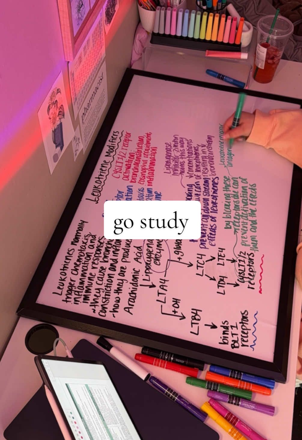 posting as a reminder for me and anyone else who needs it 🥲 #fyp #studymethods #pharmacystudent #studywithme #studytok #studymotivation  #creatorsearchinsights 