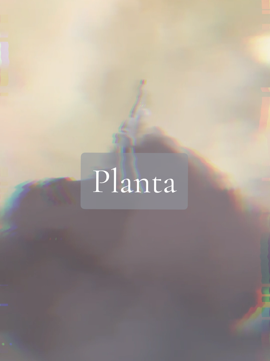Soda Stereo - Planta  #soda #sodastereo #gustavocerati #cerati #rockargentino #fyp #ena #joelg #enajoelg #dreambbq 