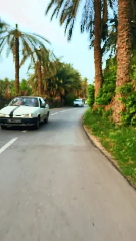 #tunisia🇹🇳 #واحة#شنني_ڤابس_جنوب_تونسي❤🔥🔥 