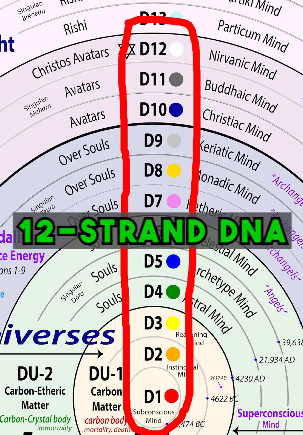 You’ve only been using 3 DNA strands your whole life...
 ⁣
 But you were born with 12 🧬✨
 ⁣
 Unlock the truth they never taught you—and remember who you are.
 ⁣
 #HumanEvolution #DNA #Metaphysics #SpiritualAwakening #Chakras