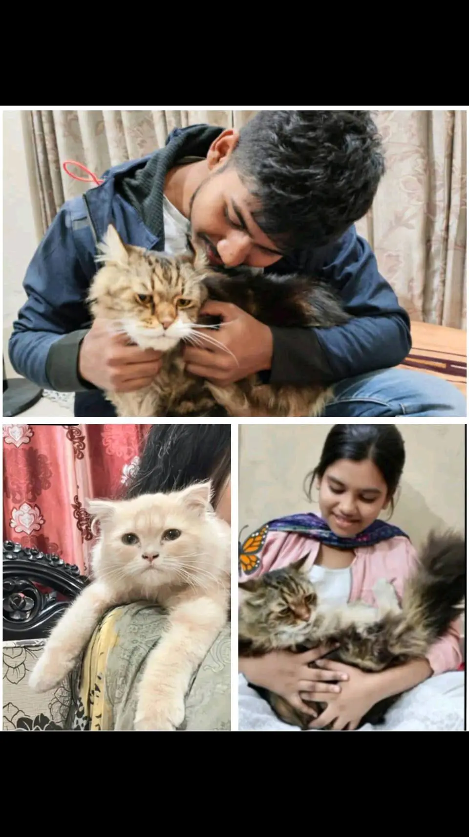 #Brother #Sister #cat lavar#🥰🥀🐈@BaDoN...🥀 @🌷kookie🌷 