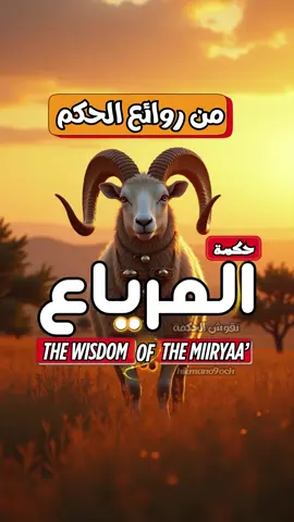 قصة المرياع تشرح كيف يمكن أن يُخدع الناس بالمظاهر والهيبة الزائفة، فيتبعون قائداً لا يملك قراره، بل يسير خلف حمار دون وعي! ⚠️ لا تغتر بالأجراس الطنانة والهيبة الظاهرة.. فالحقيقة قد تكون خلف من يقوده من حيث لا يدري. تابع 
