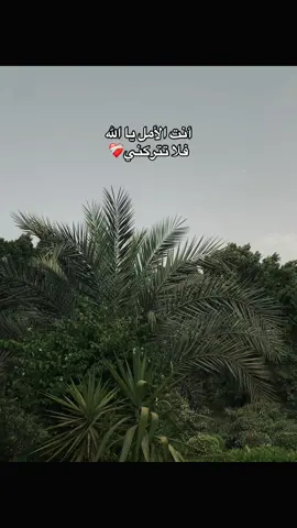 أنت الأمل يا الله، فلا تتركني#نصر_الدين_طوبار #ابتهالات #ابتهال #اللهم_ارحم_ابي #راحه_نفسيه #ابتهالات_دينيه #يارب❤️ #رحمتك_وسعت_كل_شي_واحنا_لاشى_ياالله #ثانوية_عامة 