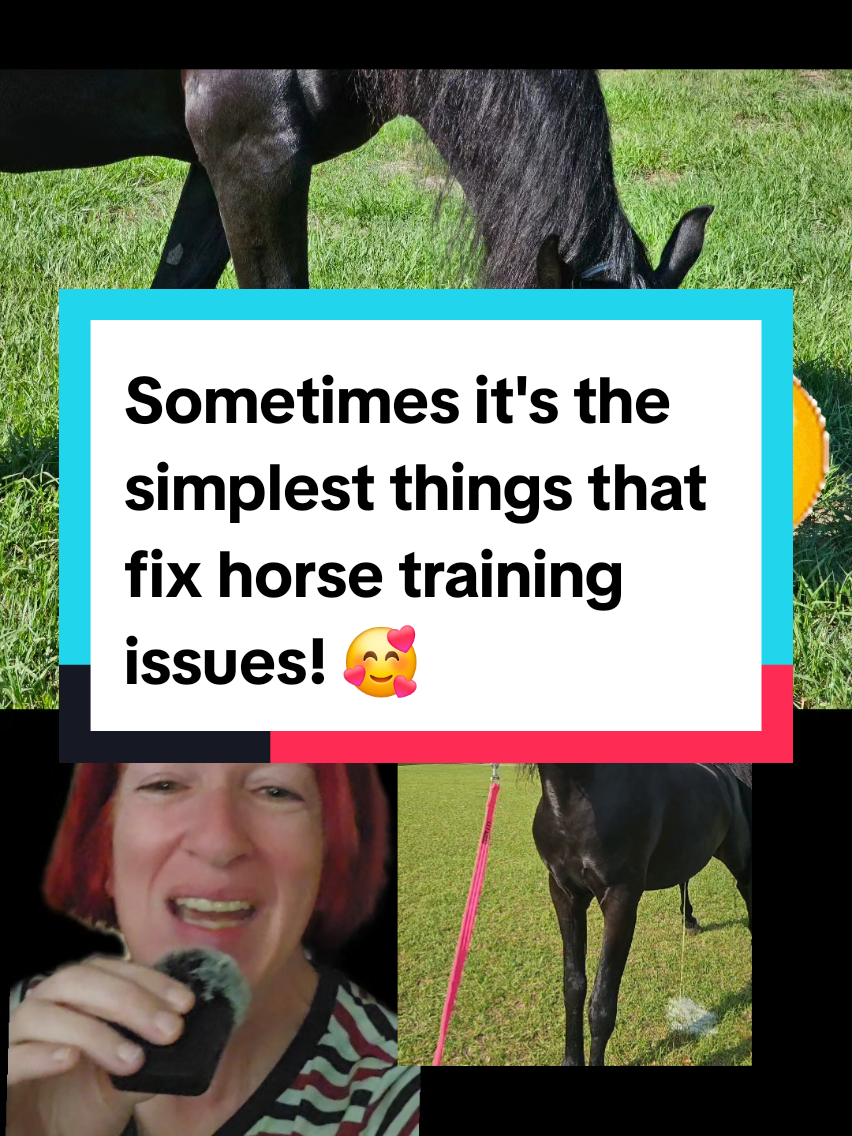 Sometimes, it isn't that the horse can't perform the behavior! It may just be that they don't like the cue we are using, so sometimes, trying a new or different cue for the behavior we want, might be all that's needed! It could be that simple sometimes! 🥰   #greenscreen #horsetrainer #horsetraining #horsebehavior #equestrians #horses #horsesarefunny #equestrianvlog #equestriansoftiktok 