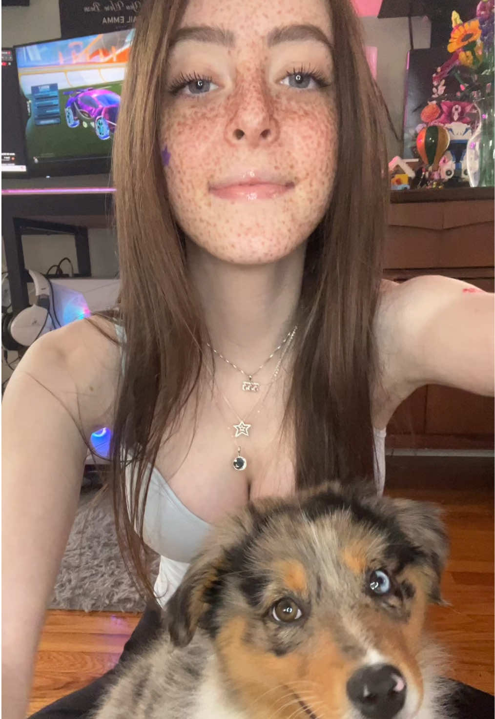 Said he wanna see my AHHHH ft stella flappy paws