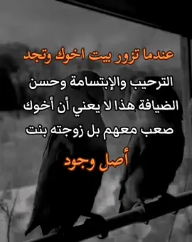 #اكسبلور #اليمن🇾🇪 #تصميم_فيديوهات🎶🎤🎬 #تحياتي_لجميع_المشاهدين_والمتابعين #حكم 