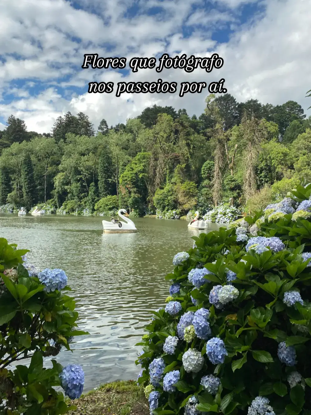 #natureza #aventura #passeio #foryou 