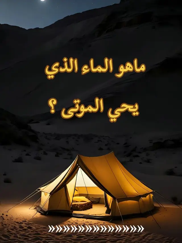 #الحمدلله_دائماً_وابداً #رسول_الله_صلى_الله_عليه_وسلم #اللهم_صلي_على_نبينا_محمد #رسول_الله_صلى_الله_عليه_وسلم #السلام_عليك_يااميرالمومنيين_علي 