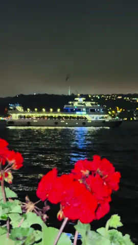 #TURKEY #❤️ #istanbul #🤍 ☺️