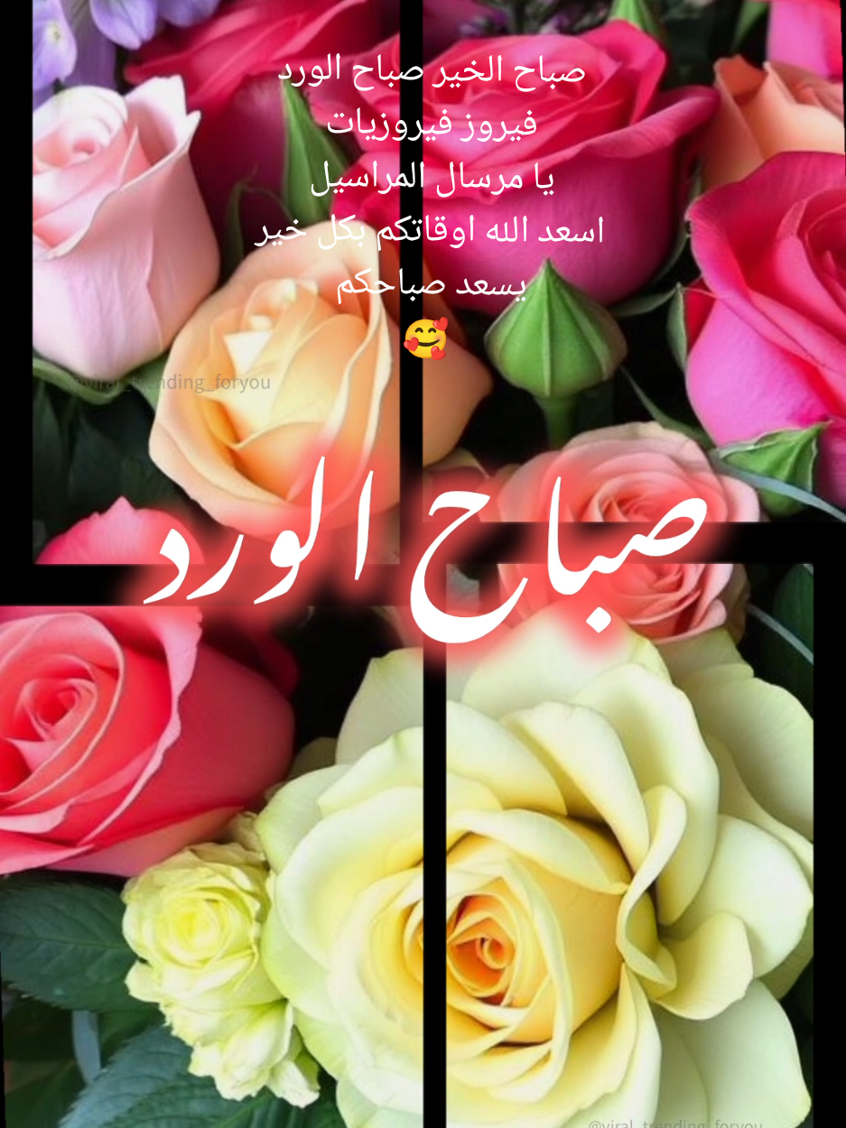 صباح الخير صباح الورد فيروز فيروزيات يا مرسال المراسيل 🥰🌺🌹🌸🌷😊😍😘💛🦋❣️☕🤍🧡💞💐 #صباح_الخير  #صباح_الورد  #صباحكم_أحلى_صباح  #اسعد_الله_جميع_اوقاتكم🌹🌹  #💐 #قهوه #🇱🇧 #🌹 #اكسبلور  #فيرال ✨🌟⭐💫💋💕❣️🤍 #تيك_توك 🎶😚😘🥰☺️😊🥹 #ورد #🌹#🌺 #🎶 #your_coffee #☕ #فيروز #فيروزيات  #يا_مرسال_المراسيل  #morning #goodmorning #u
