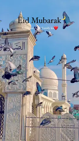 Eid Mubarak  #eiduladhamubarak❤️💚🌙🐂 #eidmubarakmubarak❤🕋🕌🕌🤲 #eid_ul_adha_hmubarak #tiktokforyou #tiktokvideos #highlight #islamic_video #dailypost #videos2025 #islam #islamic #videos2025 #tiktok #topvideos #daily #saudiarabia #saudiarabia_tiktok  #mehebub_daptori 