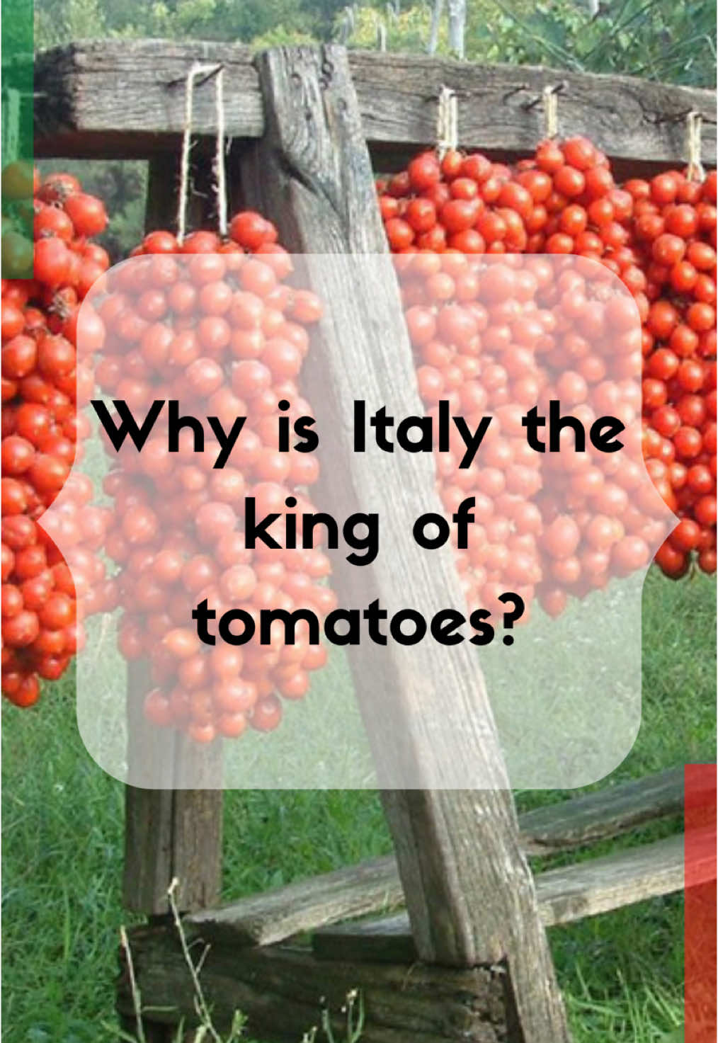 It’s all in the terroir! The botanical roots of the tomato trace back to the Americas — especially modern-day Mexico — and were brought to Europe in the 1500s. 🍅🌎➡️🇮🇹 But in Italy, something extraordinary happened. Thanks to Italy’s unique terroir — a mix of volcanic soil, sun, sea breeze, and elevation — tomatoes developed completely different characteristics. That’s what shapes the flavor, texture, and aroma of Italy’s most iconic varieties. A San Marzano grown at the foot of Mount Vesuvius doesn’t taste like any other tomato. And Piennolo del Vesuvio, hung in clusters through winter, delivers a concentrated punch of sweetness and acidity. 🍅🔥🌋