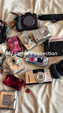 Took me three years to have this big of collection 😮‍💨 (peep the snoopy tatt)  #cameras #digitalcamera #cameracollection #sony#fujifilm #nikon #canon #fyp #fypシ #canoncamera #filmcamera #photography #photographer #pointandshoot #filmcameras #cameragear #cameracollector #photo #sonyalpha #canonpowershot #nikoncoolpix #fujifilmx100v #foryoupage #fujifilmfinepix #sonya7iv #sonya1 