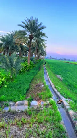 شلون تعود 😭#ستوريات_حزينة #المصور_غزوان_النمراوي #تصويري #fyp 