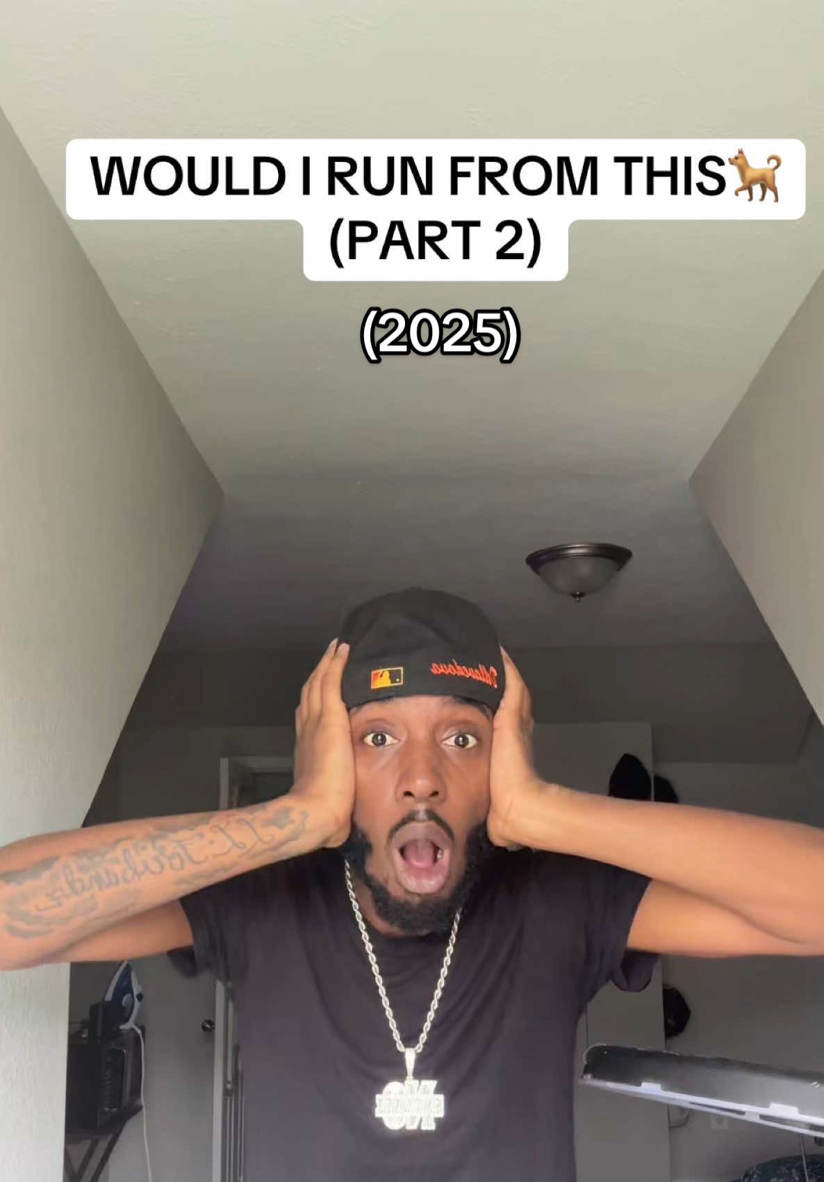 #dogsoftiktok 
