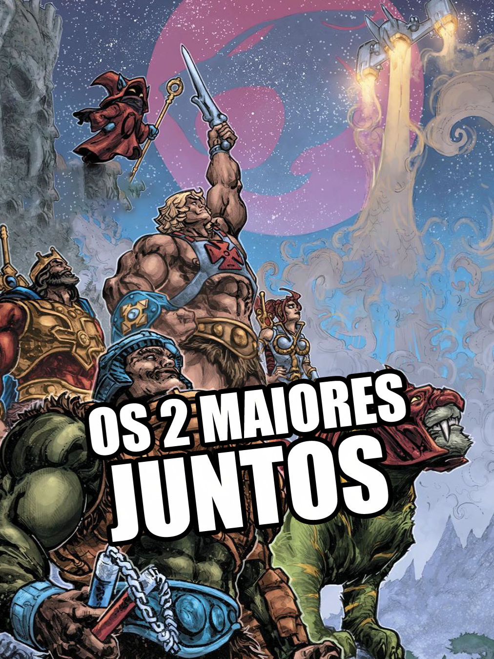 ⚔️ He-Man e Thundercats lutando juntos!  #heman #thundercats #anos80 #nostalgia #dccomics
