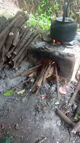 marzuki sasapedaan, udud beuki menang méntaan #kebonkopi #panenkopi 