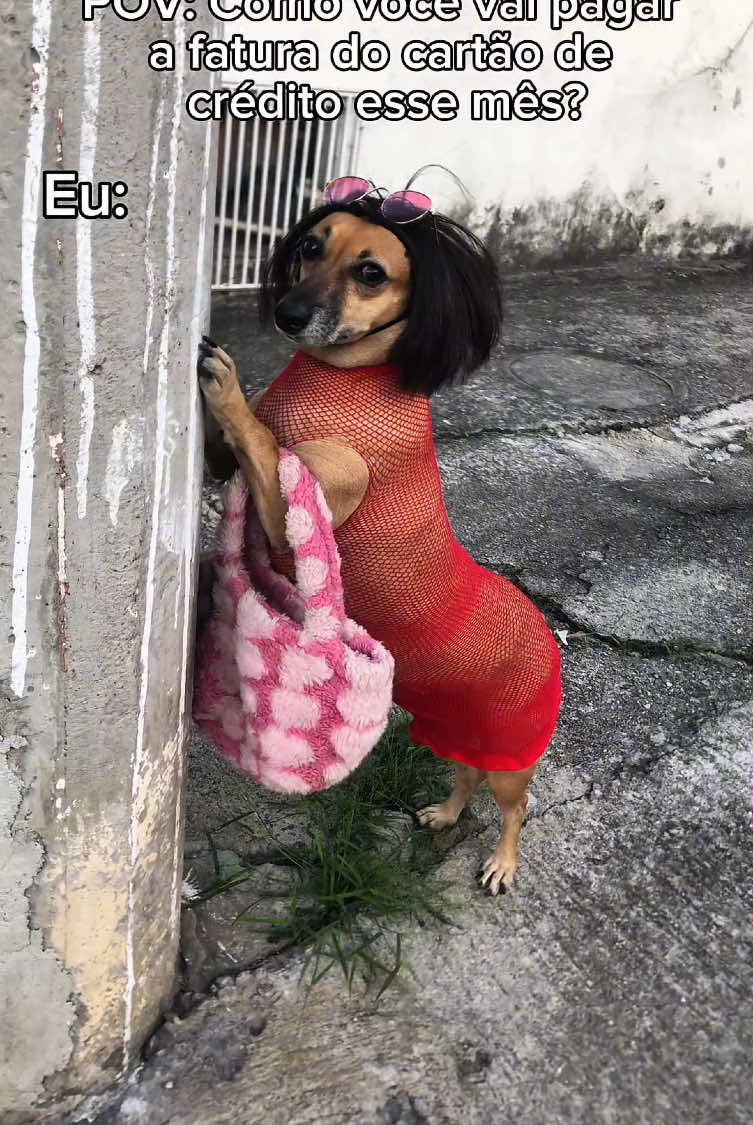 Tô nessa vibe aqui!💃❤️ #cachorro #viralizei #cachorrocaramelo #fyp #cachorrosdotiktok #maedepet #videosengracados #petinfluencer #caramelos #viralata #viralvideo🔥 #viralizarnotiktok #cachorros #pets #dogsoftiktok #memestiktok😂😂 #pituxa #job 