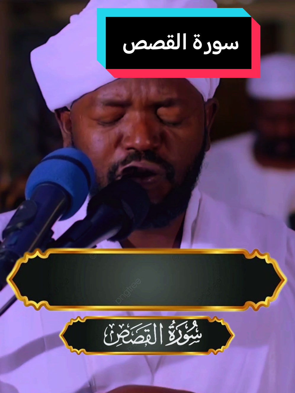 #سورة_القصص #fyp #شيخ_نورين_محمد_صديق 