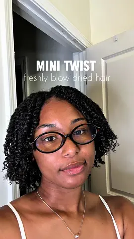 Mini twist on blown out hair.  I love the way they came out this go round. I did them a little smaller than before. ➰ Products us: @Carol’s Daughter moisture & holding gel. @Camille Rose twisting butter.  #minitwist #hairstyle #curlyhair #curls #coils #4chair #4bhair #texturedhair #protectivestyle #twistout #carolsdaughter #camillerose #hair #naturalhairstyles 