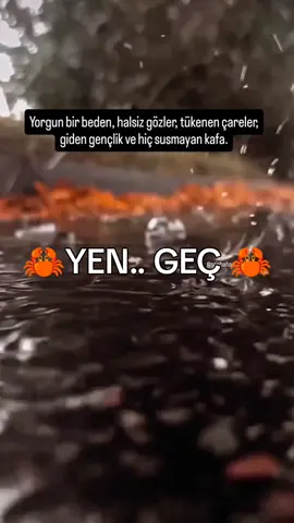#yengec #kesfet #&&&#