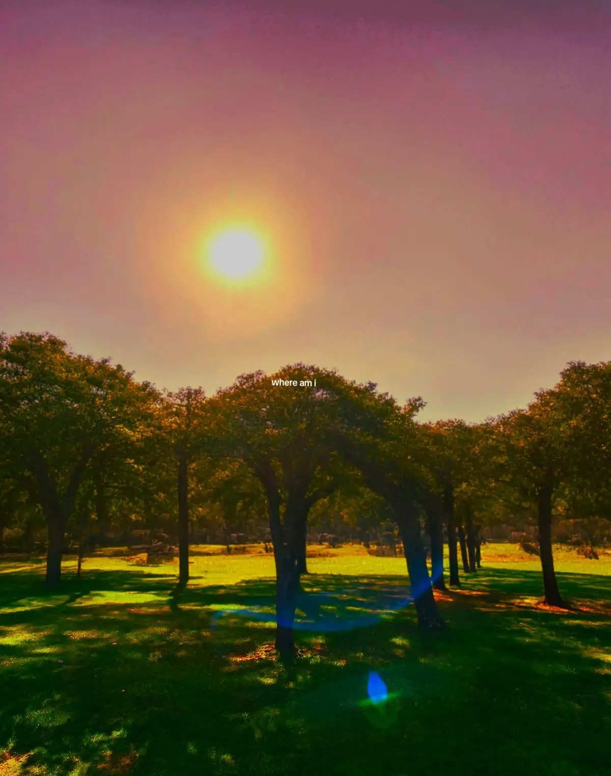 #streameruniversity #memorialday #memorialdayweekend #fyp #xyzbca 