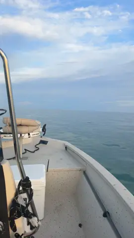 #fyp#biglake#deapseafishing#ocean #trending @Making Tracks Outdoors 