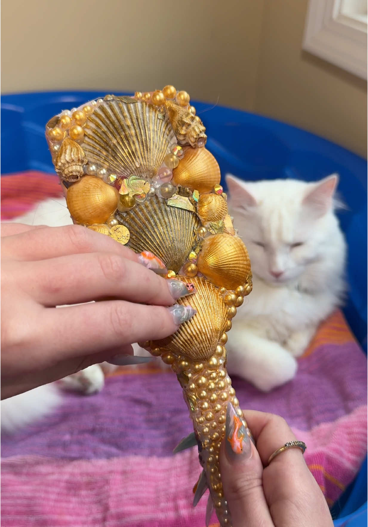 #ad Escape to paradise every day with Tidy Cats Bahama Sunset litter and literally and potentially win your own real trip to the Bahamas with their sweepstakes! 🌴 #TidyCatsPartner 