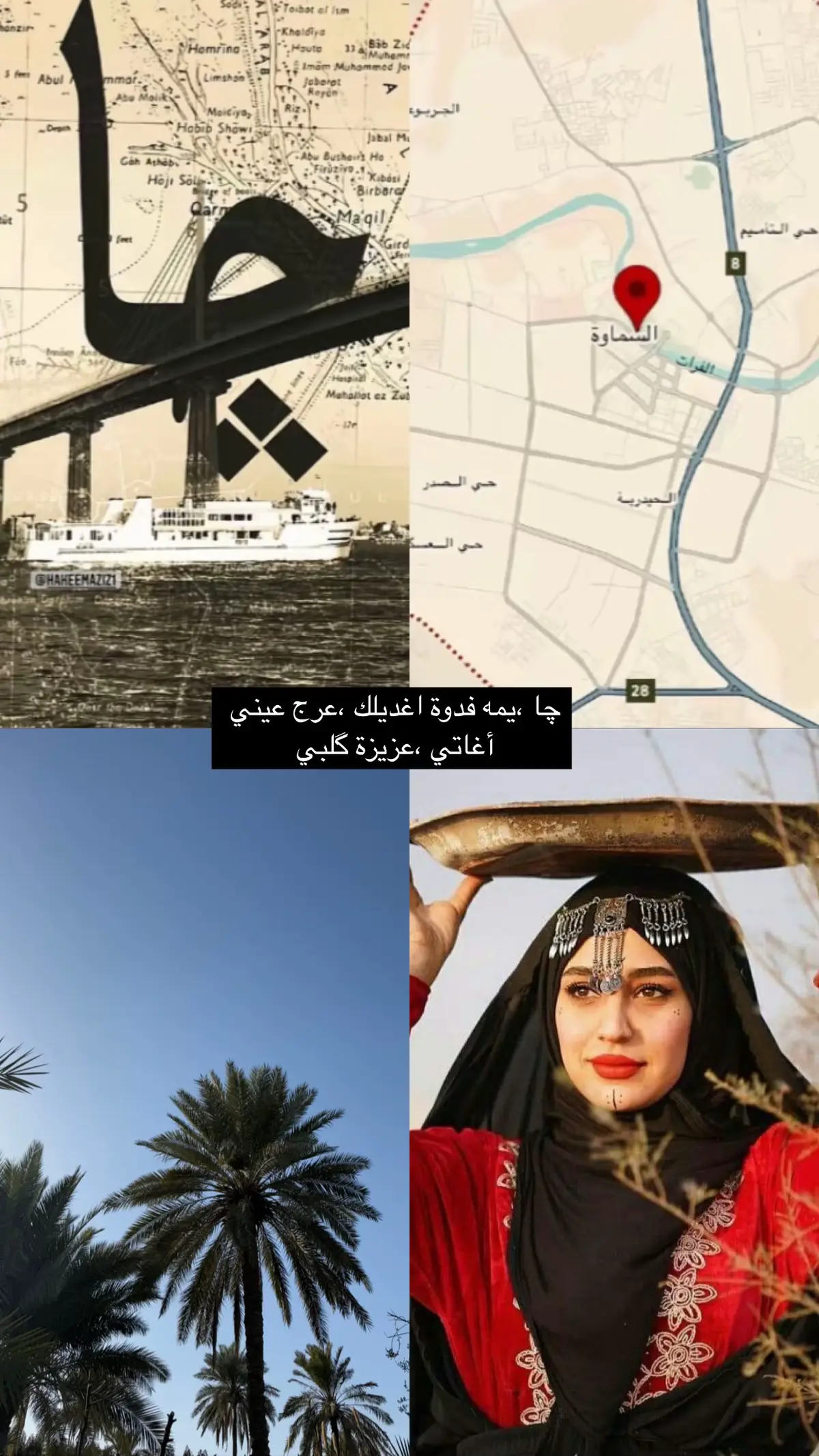 #ترند #ترند_محافظات #السماوة_مدينتي #العراق🇮🇶 #نخل_السماوة #تصويري #صعدوه_اكسبلوور 