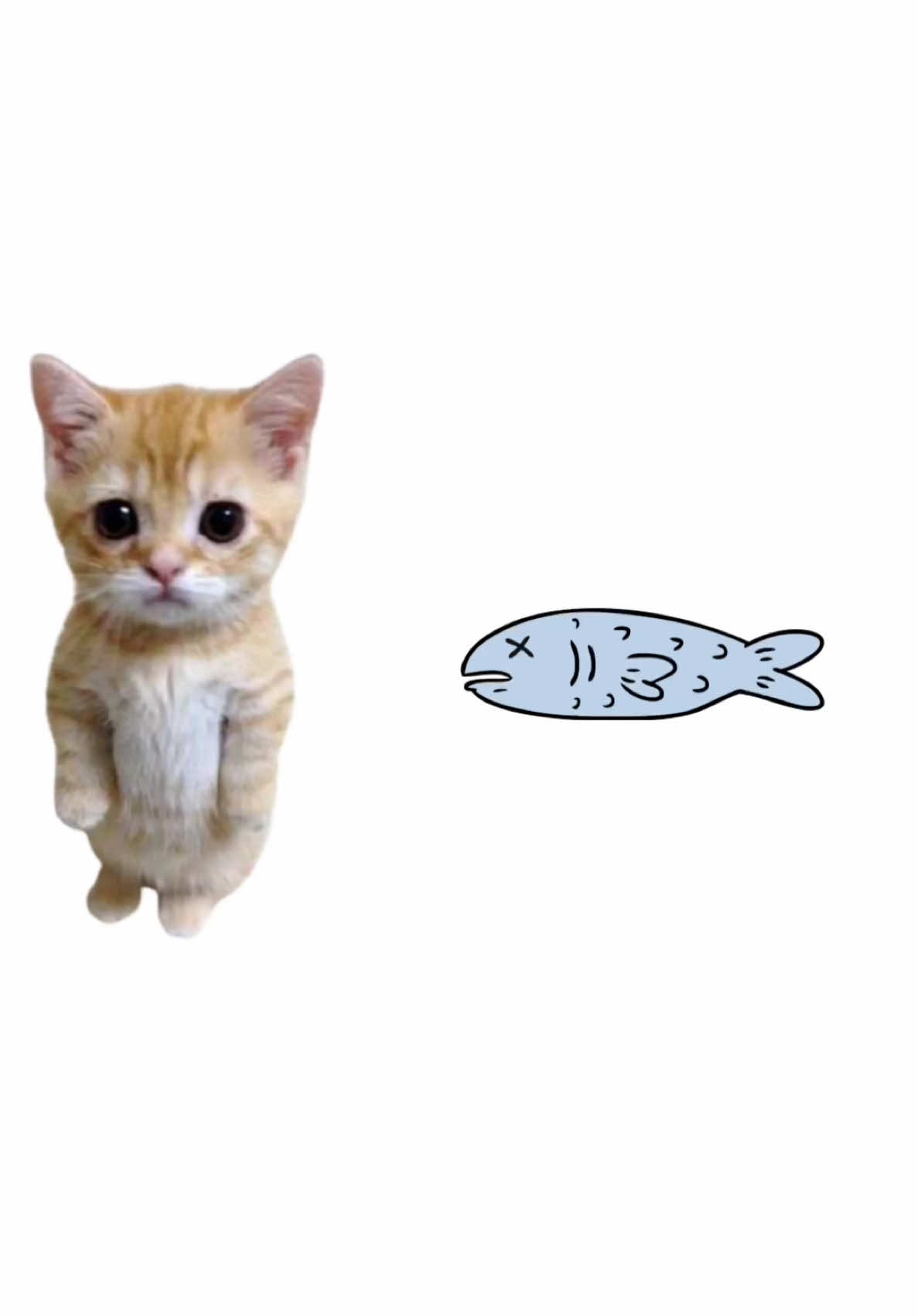 Les types d’inflations expliqué en chat  #fyppppppppppppppppppppppp #fyp  @PhDKitty 