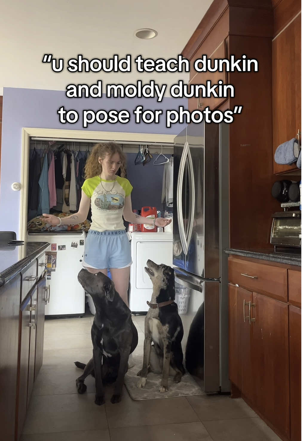 okay but these are da useful when i’m tryna take pictures with them #foryou #foryoupage #dogs #fyp #dunkindadawg #viral 