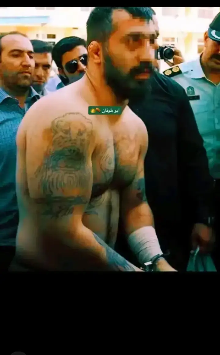 #وحيدمرادي_روحت_شاد_دادش_عقاب_ايران #وحيدمرادي_روحت_شاد_دادش_عقاب_ايران #