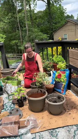 When life gives you empty pots, it’s the universe saying: Go buy more plants... obviously. Growth starts with soil, sunshine, and a little bit of delusion 🪴✨ #EmptyPotsMood #PlantMoreWorryLess #GreenTherapy #GardenHumor #PlantAddictVibes #WillowAndWildhoneyHealing