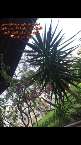 #on #trend #tiktokindia #trending #tiktok #standwithkashmir #music #masukberanda #fypシ゚ #new #roblox #keşfet #mlbbcreatorcamp #cute #GamingOnTikTok #555 #dance #pourtoi #motivation #real #